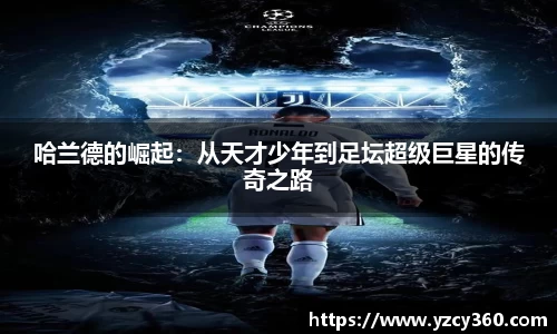优游国际平台