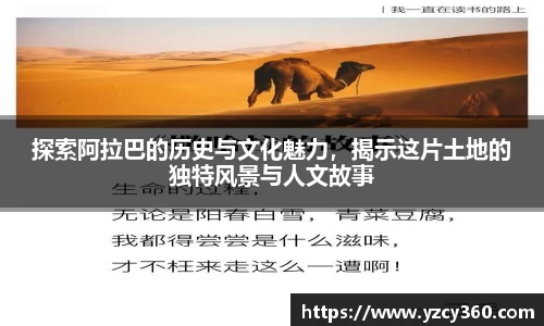 优游国际